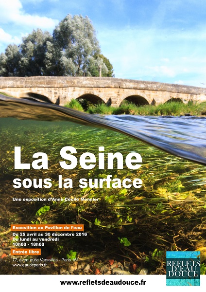 La Seine sous la Surface petit format
