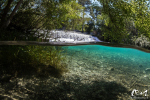 La Sorgue © Anne-Cécile Monnier