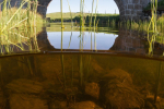 Le Bès en mi-air mi-eau, Aubrac (48) © Anne-Cécile Monnier