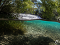 La Sorgue © Anne-Cécile Monnier
