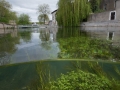 L'Ornain à Gondrecourt-le-château (55) © Anne-Cécile Monnier