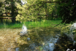 La Sorgue © refletsdeaudouce.fr