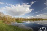 Frayère à brochet, La Meuse © Anne-Cécile Monnier