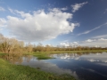 Frayère à brochet, La Meuse © Anne-Cécile Monnier