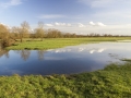 Frayère à brochet, La Meuse © Anne-Cécile Monnier