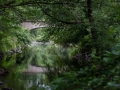 La Gartempe © Anne-Cécile Monnier