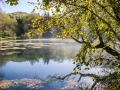 Vallée de la Marne (52) © Anne-Cécile Monnier