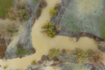 L'Yèvre en crue - Cher © Anne-Cécile Monnier