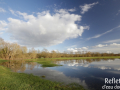 Frayère à brochet, La Meuse © Anne-Cécile Monnier