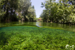 La Sorgue © refletsdeaudouce.fr