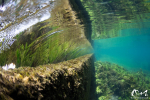 La Sorgue © refletsdeaudouce.fr