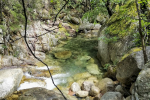 Le Polischellu - Corse © Anne-Cécile Monnier