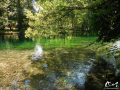 La Sorgue © refletsdeaudouce.fr