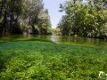 La Sorgue © refletsdeaudouce.fr