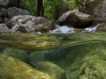 Le Polischellu, Corse © Anne-Cécile Monnier