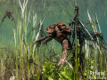 Crapaud commun © Anne-Cécile Monnier