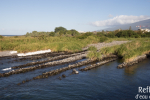 Canaux de pêche du bichique, Ile de la Réunion