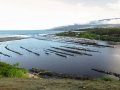 Canaux de pêche du bichique, Ile de la Réunion