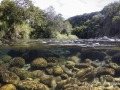 La rivière des marsouins, Ile de la Réunion