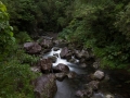 Rivière Langevin, Ile de la Réunion
