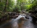 Crique - Guyane