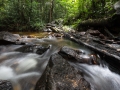 Crique - Guyane