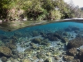 Rivière des Marsouins, Ile de la Réunion