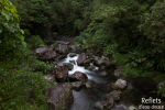 Rivière Langevin, Ile de la Réunion