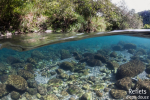 Rivière des Marsouins, Ile de la Réunion