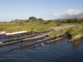 Canaux de pêche du bichique, Ile de la Réunion