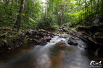 Crique - Guyane